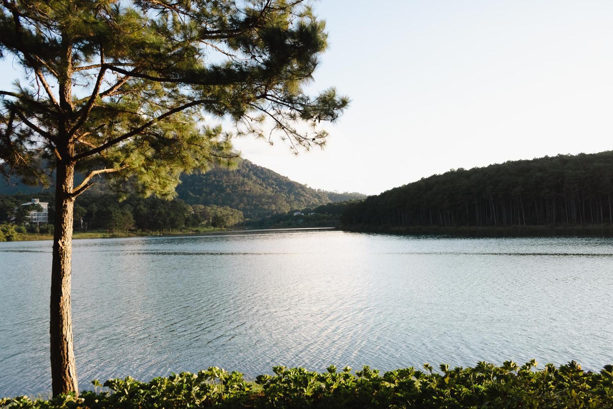 Terracotta Hotel & Resort Dalat Dış mekan fotoğraf