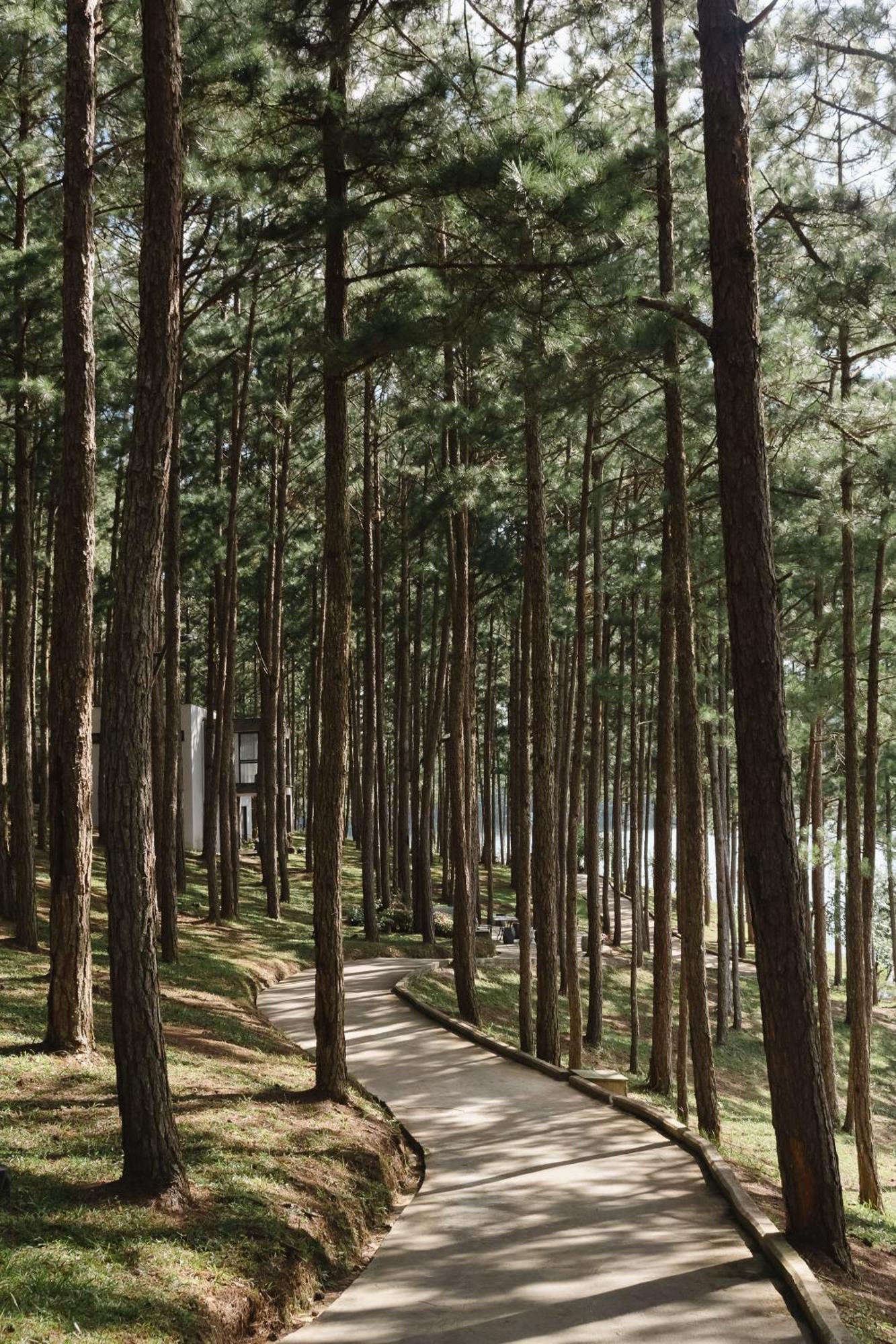 Terracotta Hotel & Resort Dalat Dış mekan fotoğraf