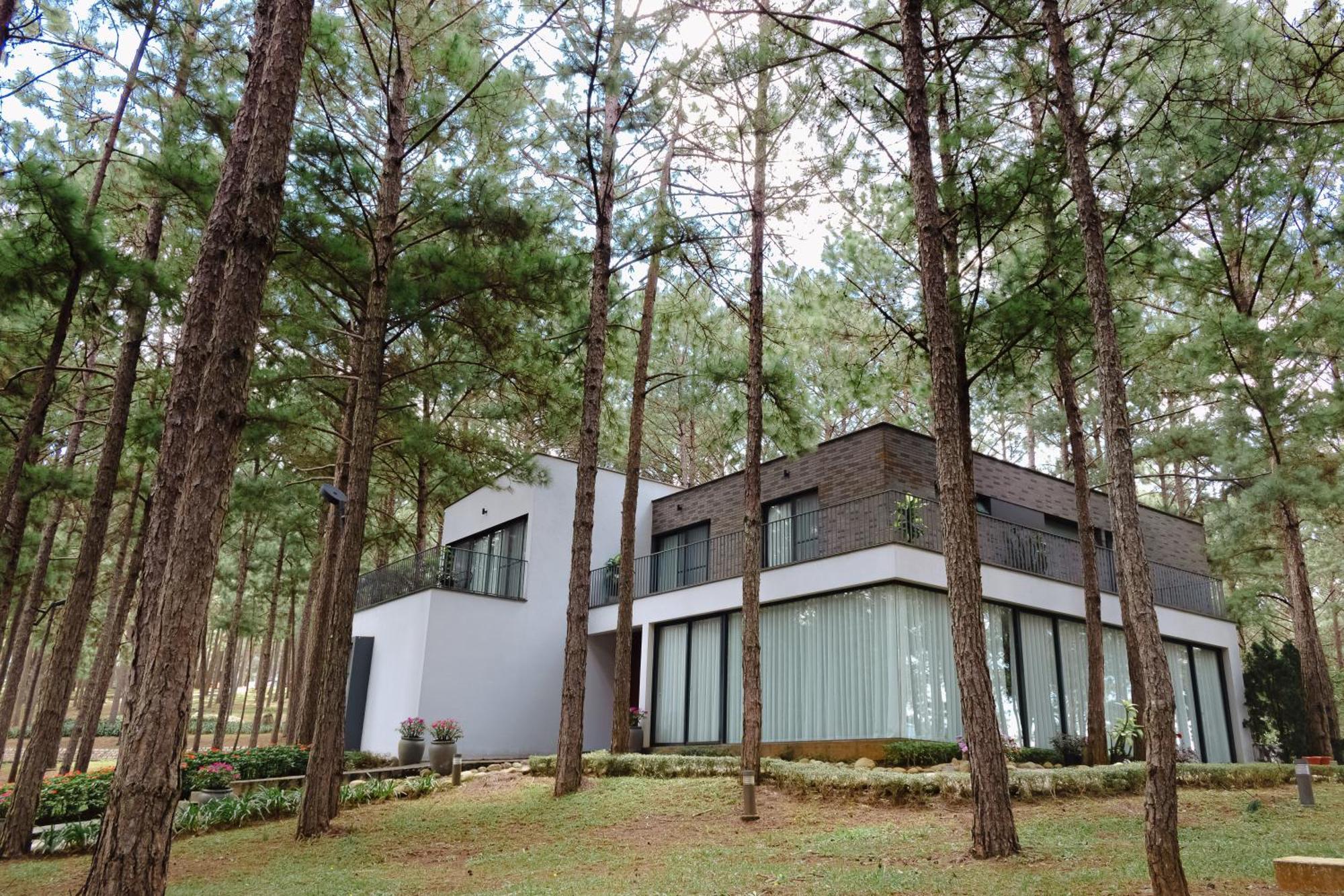 Terracotta Hotel & Resort Dalat Dış mekan fotoğraf